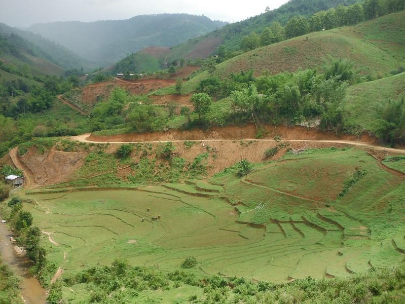ChiangRai-DoiMaeSalong10.jpg