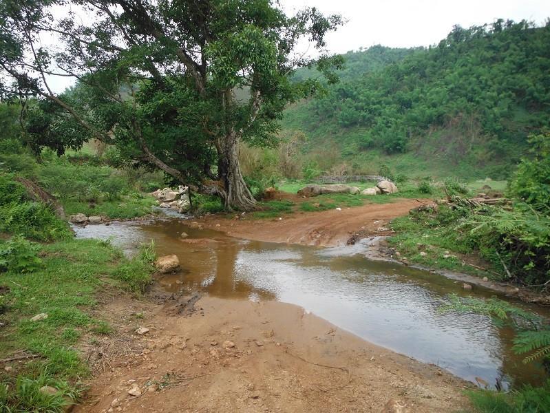 ChiangRai-DoiMaeSalong12.jpg