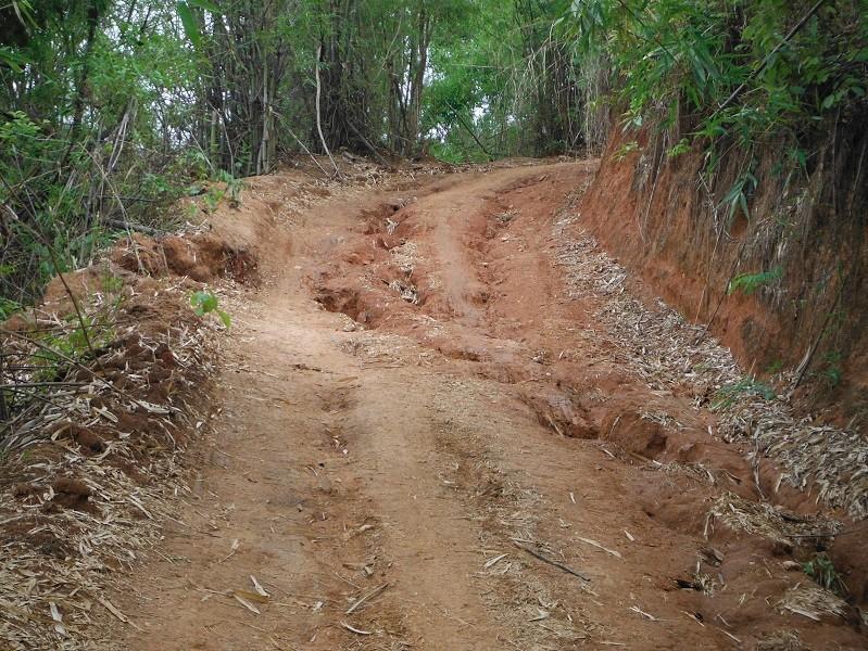ChiangRai-DoiMaeSalong13.jpg