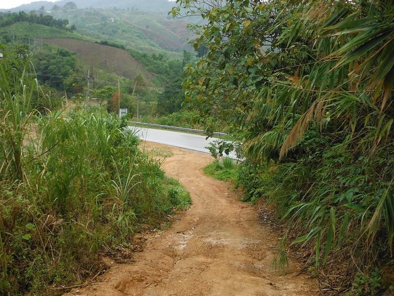 ChiangRai-DoiMaeSalong15.jpg