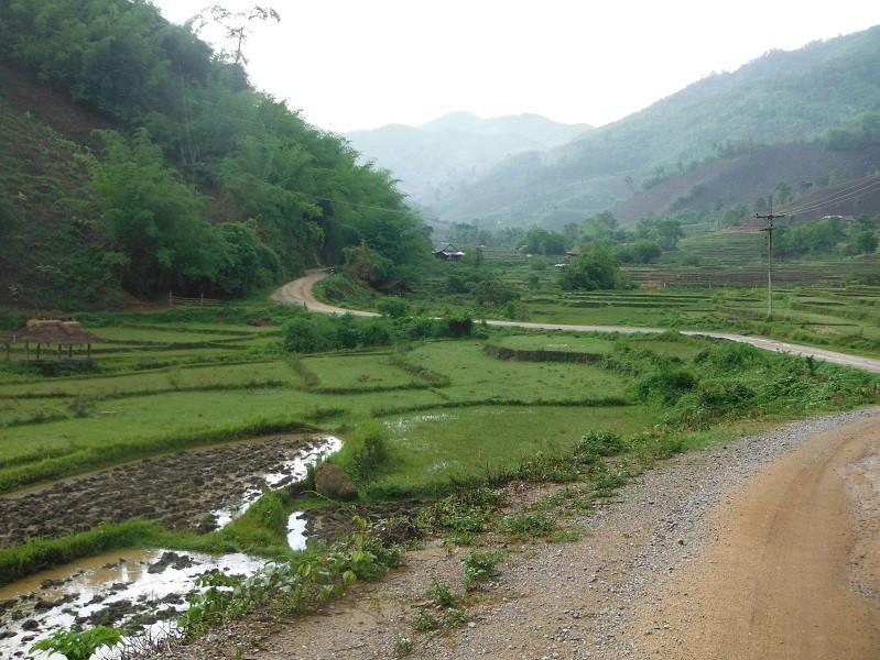 ChiangRai-DoiMaeSalong6.jpg