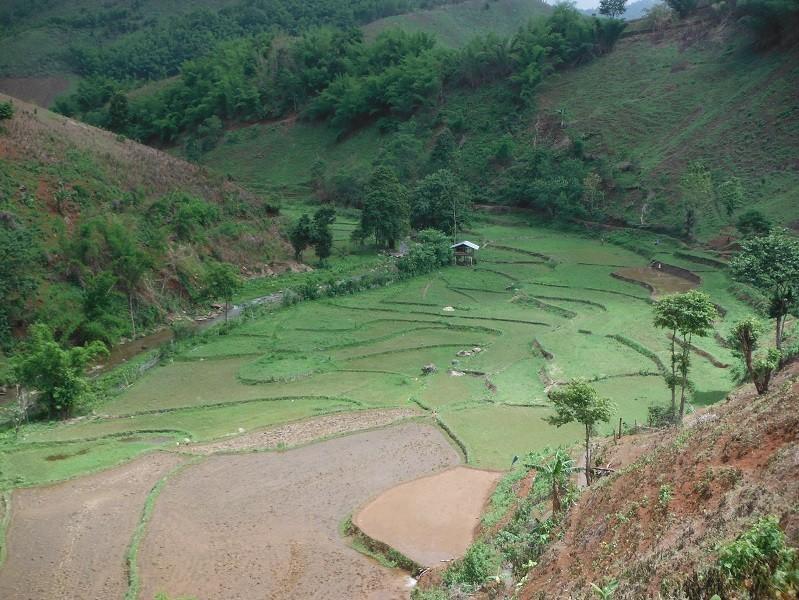 ChiangRai-DoiMaeSalong9.jpg