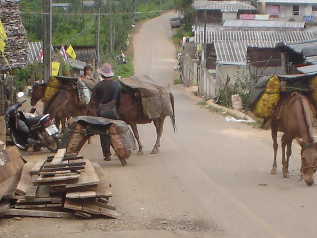 ChiangRai2082.jpg