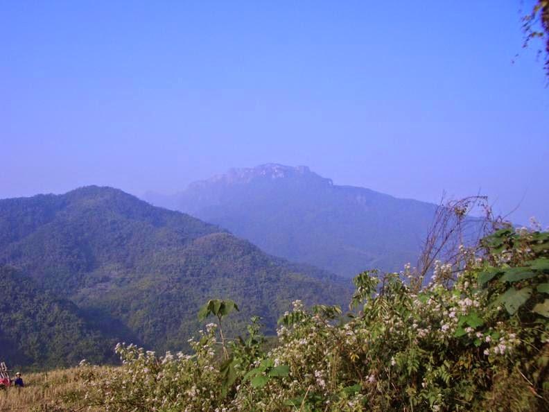 CIMG0985.jpg