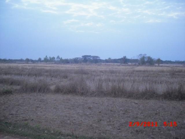 CIMG1129.jpg