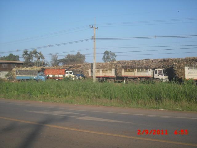 CIMG1133.jpg