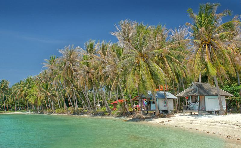 coconutbeach-small.jpg