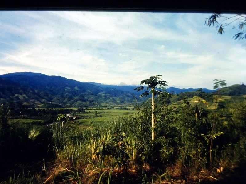 cofshop7.jpg