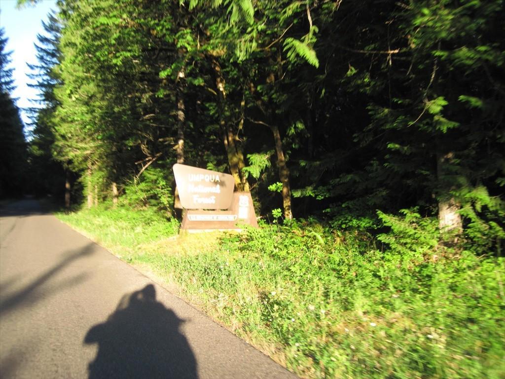CottageGroveToCraterLake_004.jpg