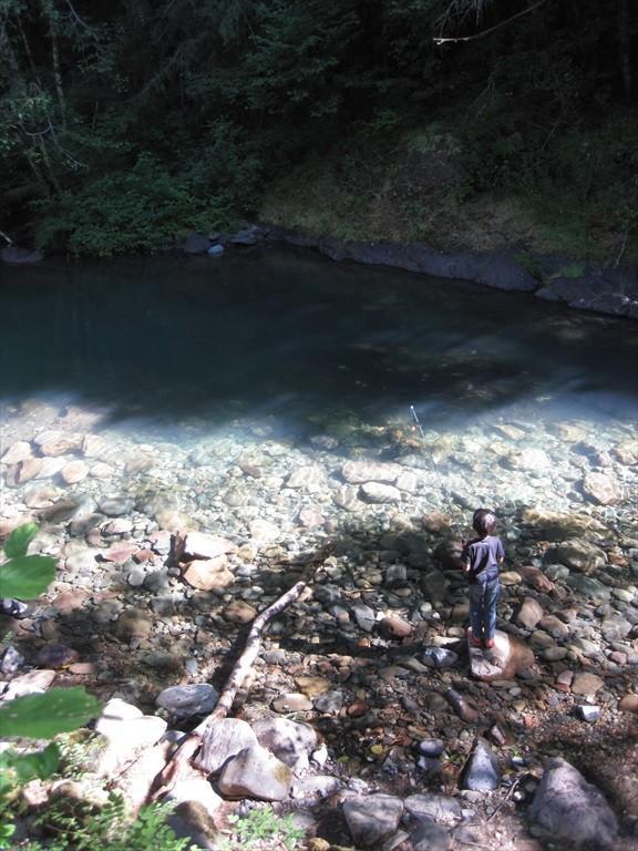 CottageGroveToCraterLake_005.jpg