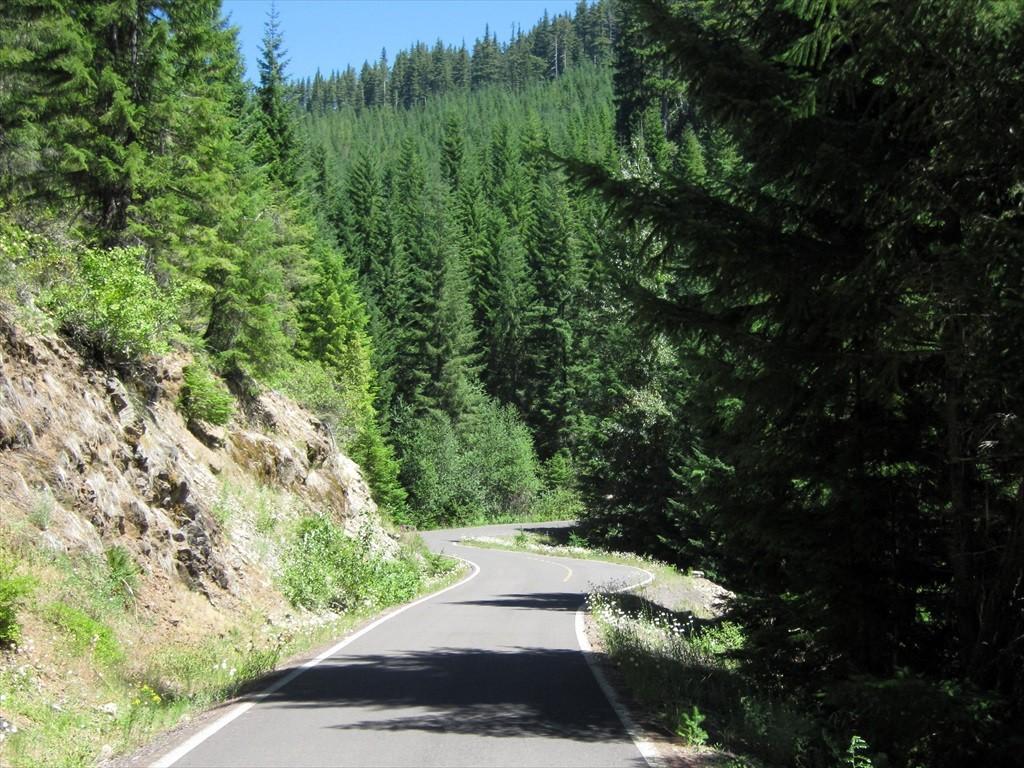 CottageGroveToCraterLake_014.jpg