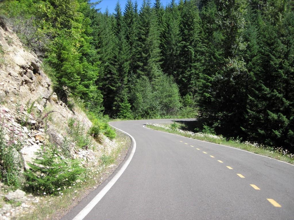 CottageGroveToCraterLake_015.jpg