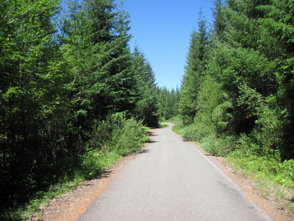 CottageGroveToCraterLake_016.jpg