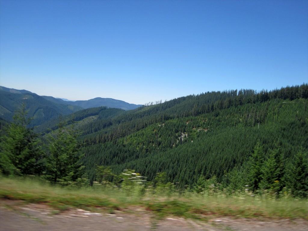 CottageGroveToCraterLake_018.jpg