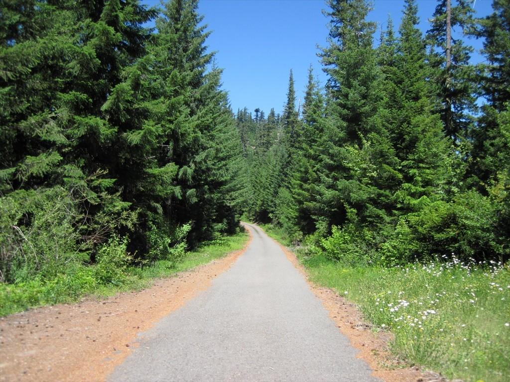 CottageGroveToCraterLake_020.jpg