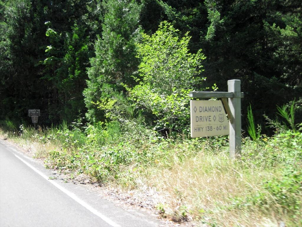CottageGroveToCraterLake_025.jpg
