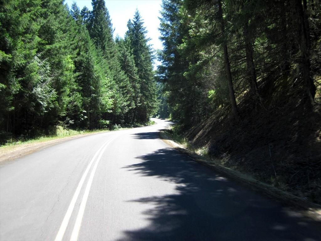CottageGroveToCraterLake_027.jpg