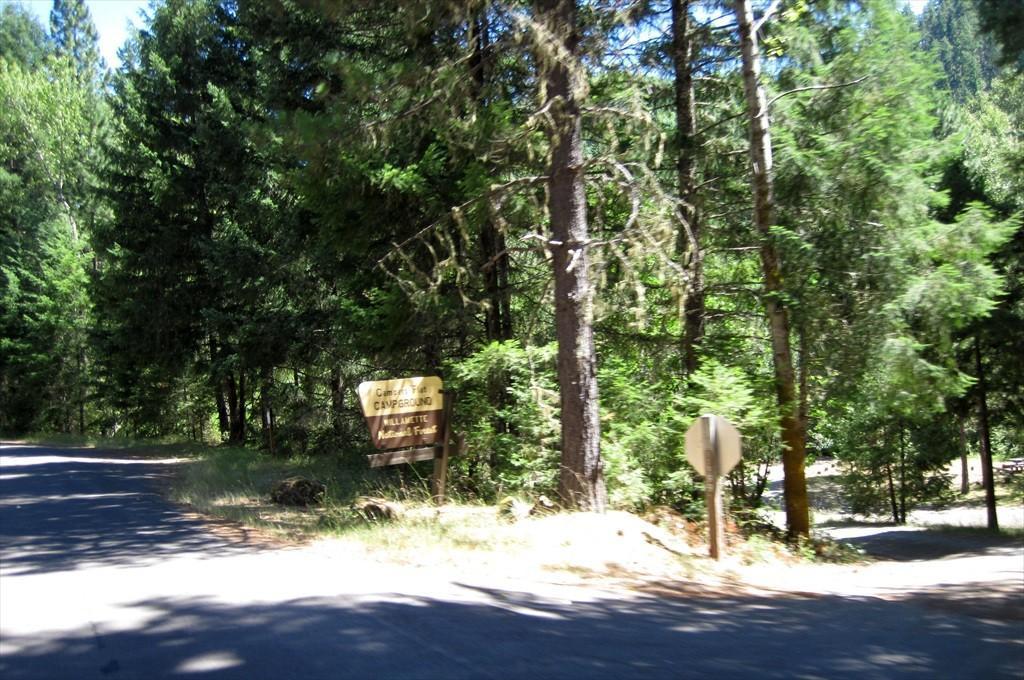 CottageGroveToCraterLake_035.jpg