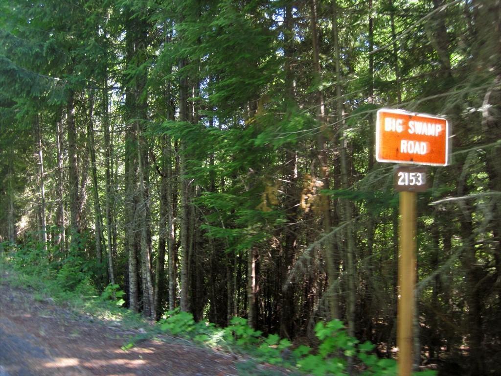 CottageGroveToCraterLake_039.jpg