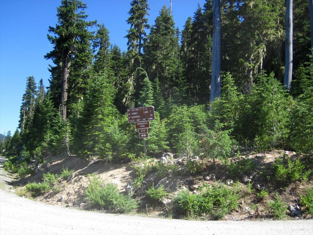 CottageGroveToCraterLake_042.jpg