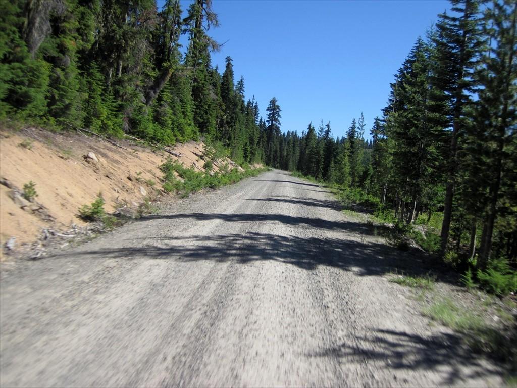 CottageGroveToCraterLake_043.jpg