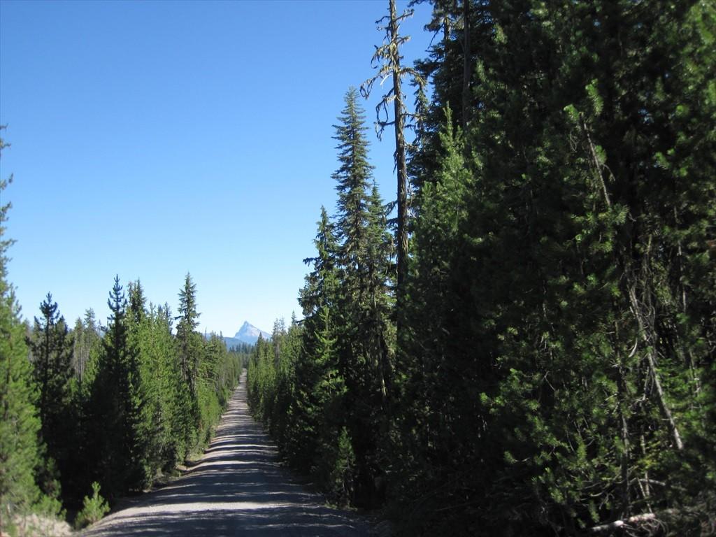 CottageGroveToCraterLake_046.jpg