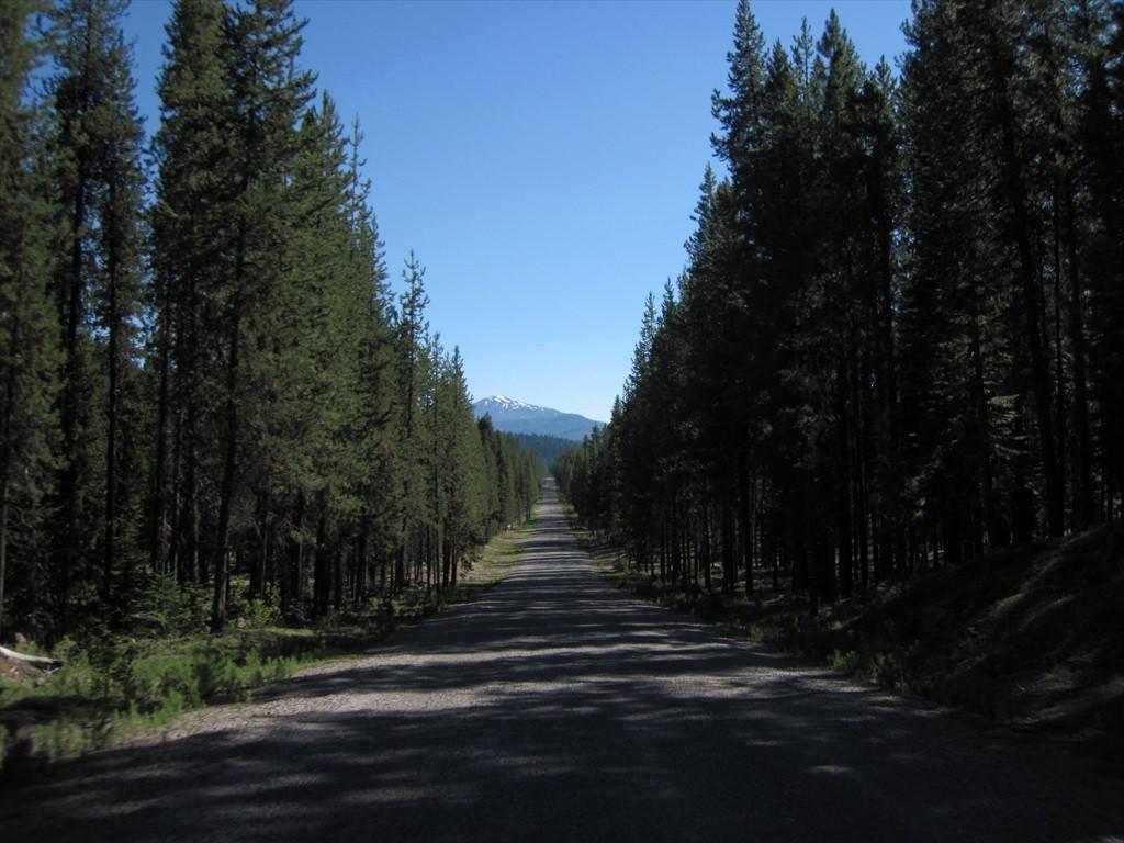 CottageGroveToCraterLake_047.jpg