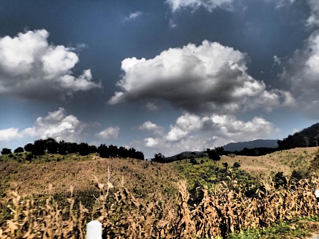 Day18_030_zpsb9c790a0.jpg