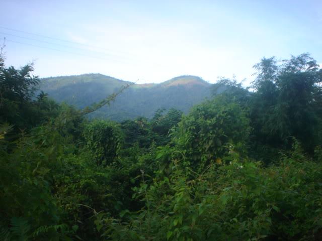 Dayone024.jpg