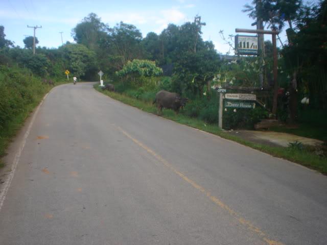 Dayone028.jpg