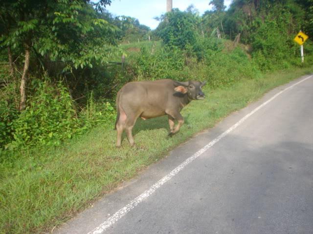 Dayone029.jpg