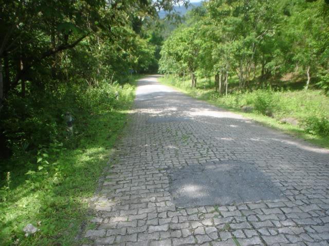 Dayone039.jpg