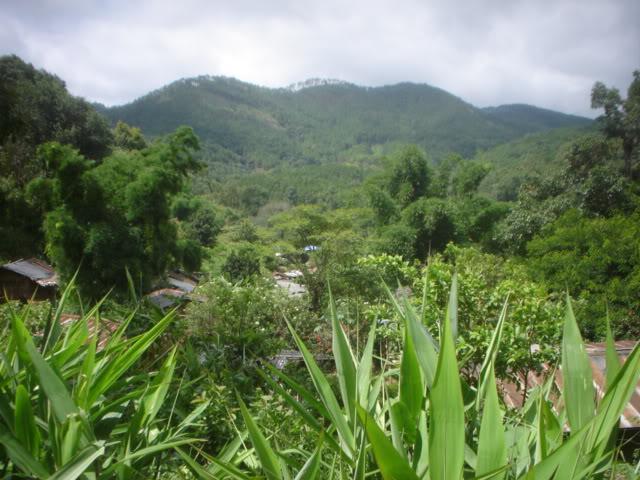 Dayone043.jpg