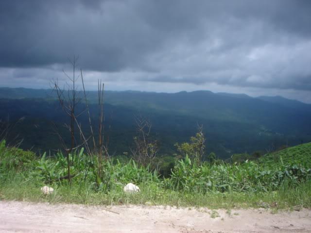 Dayone045.jpg