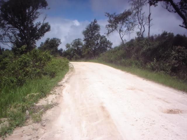 Dayone046.jpg