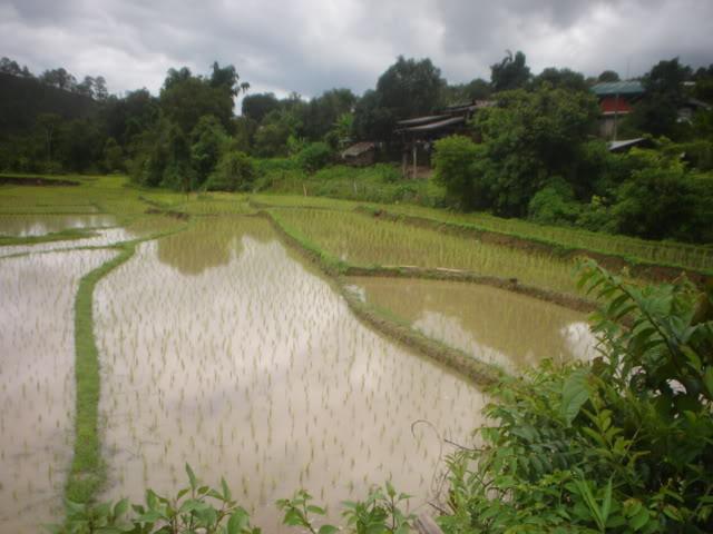 Dayone056.jpg