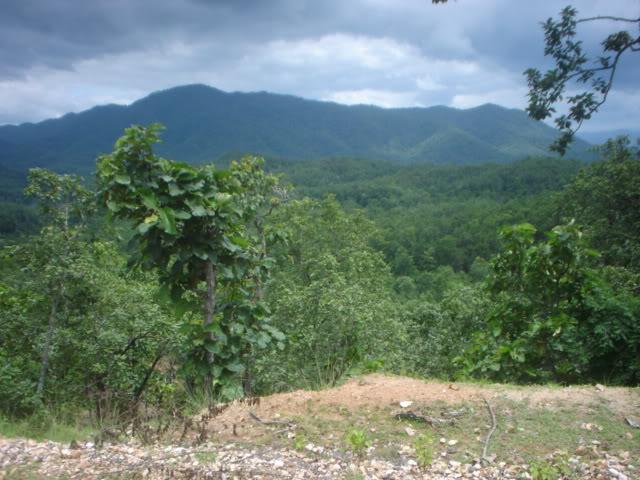 Dayone062.jpg