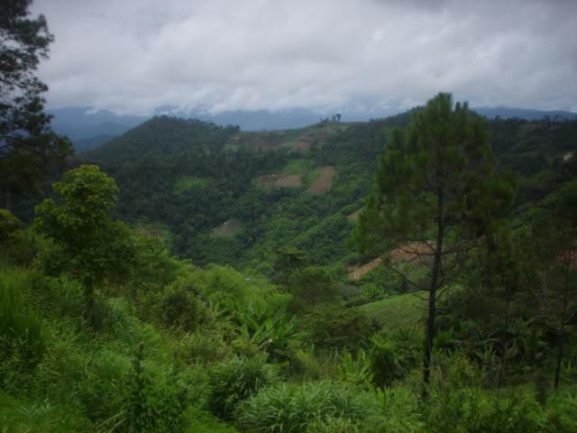 Daysix001.jpg