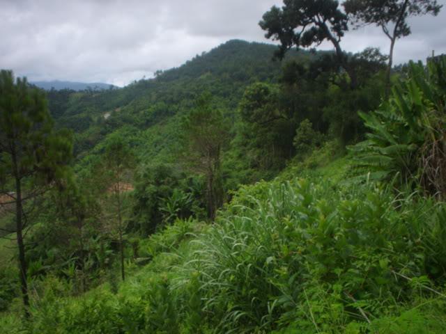 Daysix002.jpg