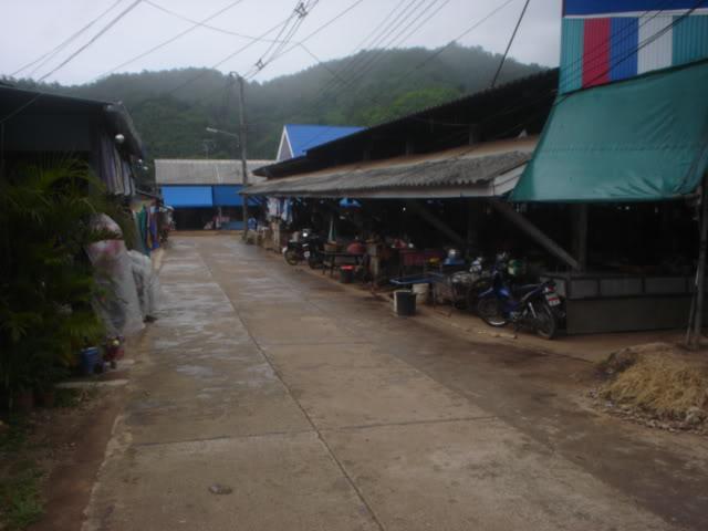Daysix007.jpg