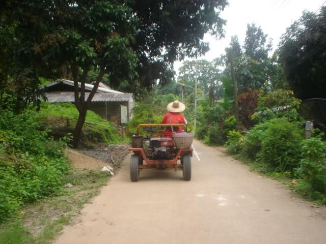 Daysix008.jpg