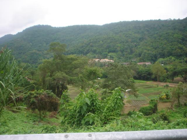 Daysix010.jpg
