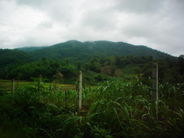 Daythree017.jpg