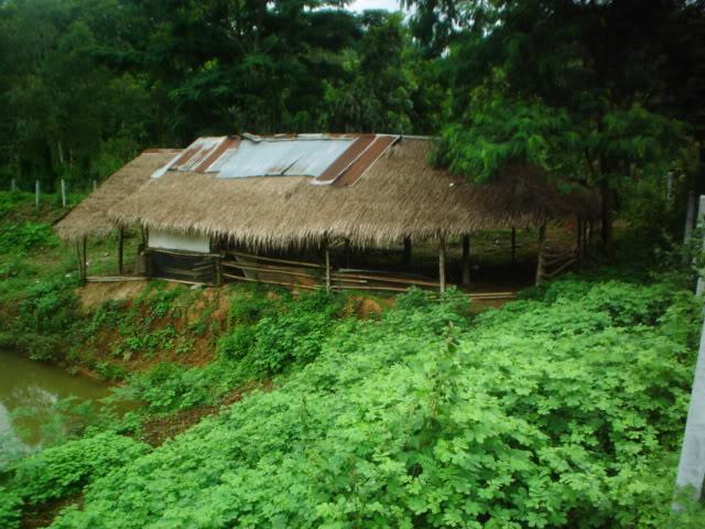 Daythree018.jpg