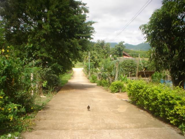 Daythree056.jpg