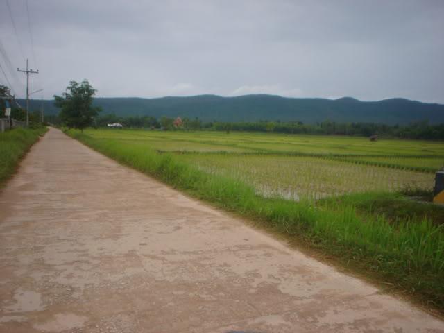 Daythree083.jpg