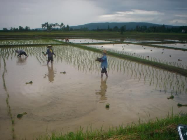 Daythree084.jpg