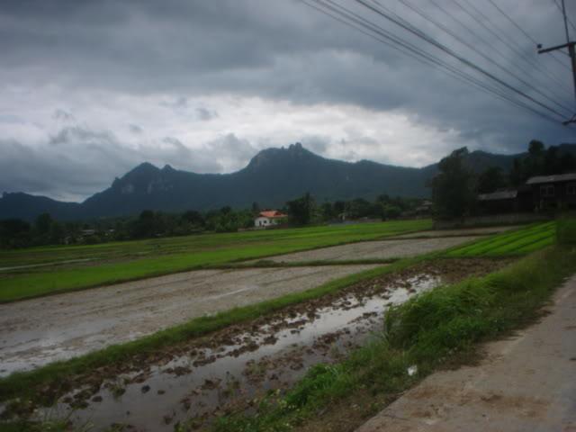 Daythree119.jpg