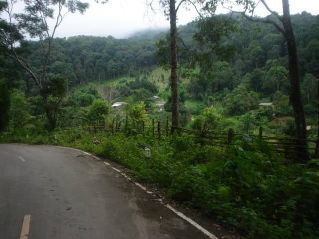 Daythree121.jpg