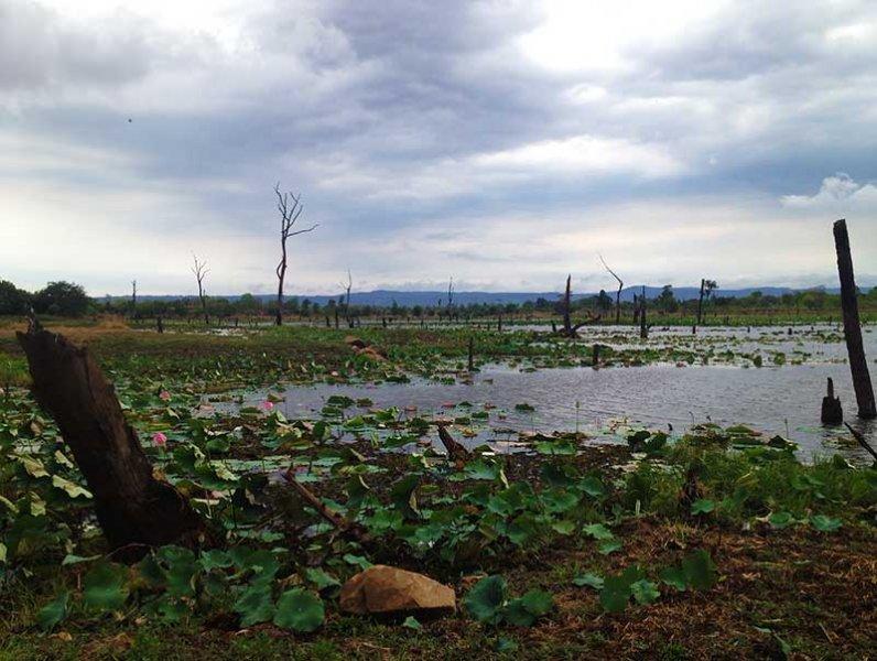 dirt-bike-tours-cambodia-forest-flooded.jpg